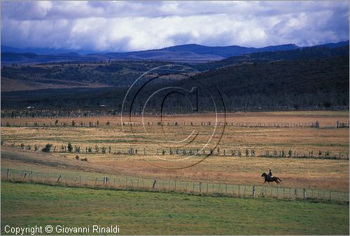 CILE - CHILE - Patagonia - Balmaceda