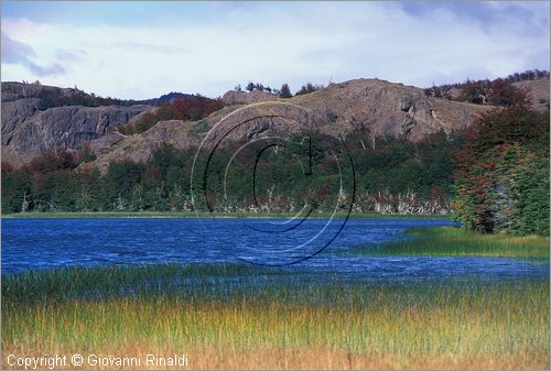 CILE - CHILE - Patagonia - (Coihaique) - Parco Naturale Dos Lagunas - Laguna Escondida