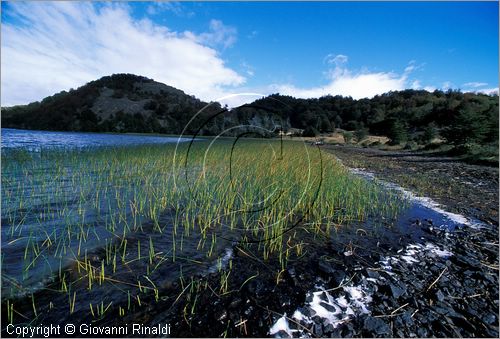 CILE - CHILE - Patagonia - (Coihaique) - Parco Naturale Dos Lagunas - Laguna Escondida