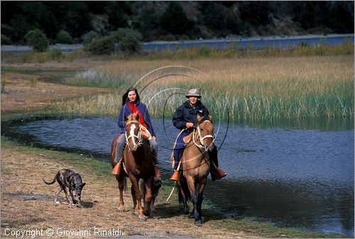 CILE - CHILE - Patagonia - (Puerto Bertrand) - Azienda Tres Lagos