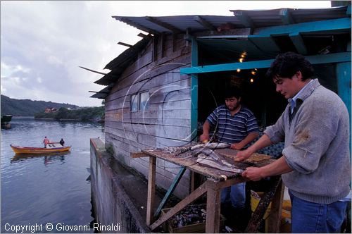 CILE - CHILE - Patagonia - Puerto Montt - Angelmo - mercato del pesce