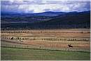 cile_balmaceda0003.jpg