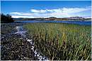 cile_coihaique0003.jpg