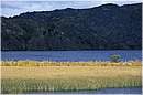 cile_puertobertrand0005.jpg