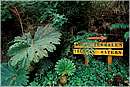 cile_puyuhuapi0004.jpg