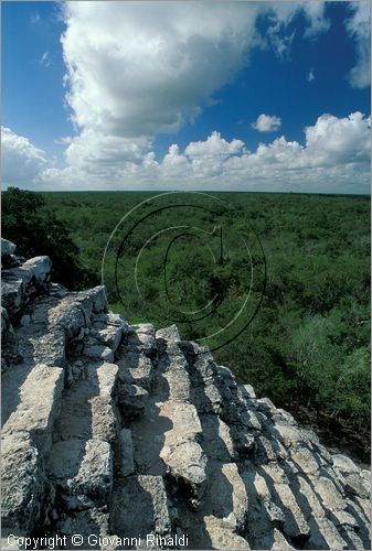 MEXICO - YUCATAN - Area archeologica di Coba' (antica citt Maya (700 - 900 d.C.) - veduta della foresta dalla piramide Nohochmul (42 metri e 120 scalini  la pi alta dello Yucatan)