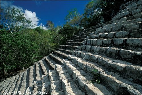 MEXICO - YUCATAN - Area archeologica di Coba' (antica citt Maya (700 - 900 d.C.) - La piramide Nohochmul (42 metri e 120 scalini  la pi alta dello Yucatan)
