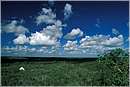mexico_coba0001.jpg