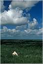 mexico_coba0003.jpg
