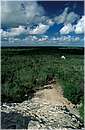 mexico_coba0004.jpg