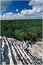 mexico_coba0007.jpg