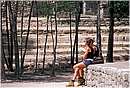mexico_coba0012.jpg