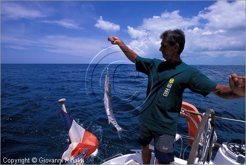 CUBA - Arcipelago delle Isole Canarreos - un barracuda preso con la tecnica della pesca a traina