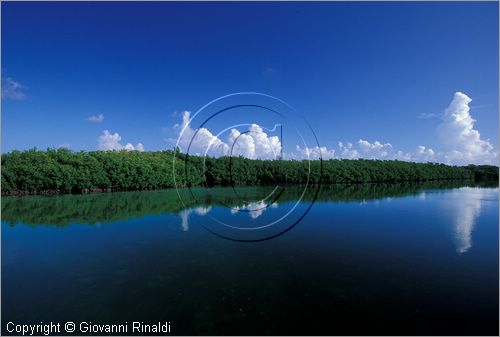 CUBA - Arcipelago delle Isole Canarreos - Cayo Estopa - canale dell'Estopa tra le mangrovie