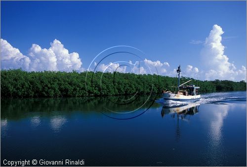 CUBA - Arcipelago delle Isole Canarreos - Cayo Estopa - passaggio di una barca per la pesca delle aragoste nel canale dell'Estopa tra le mangrovie