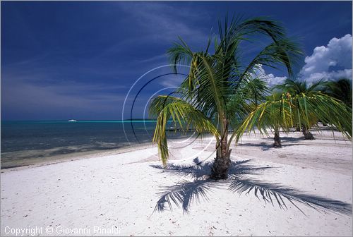 CUBA - Arcipelago delle Isole Canarreos - Cayo Campos - spiaggia di ovest