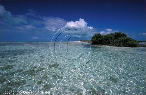 CUBA - Arcipelago delle Isole Canarreos - Cayos Pedraza