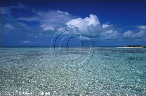 CUBA - Arcipelago delle Isole Canarreos - Cayos Pedraza