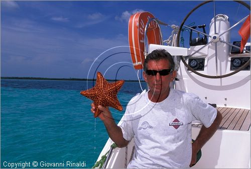 CUBA - Arcipelago delle Isole Canarreos - Cayo Aguardiente - una bella stella marina