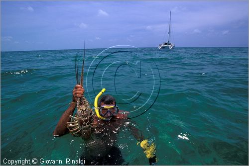 CUBA - Arcipelago delle Isole Canarreos - Cayo Avalos - un pescatore di aragoste