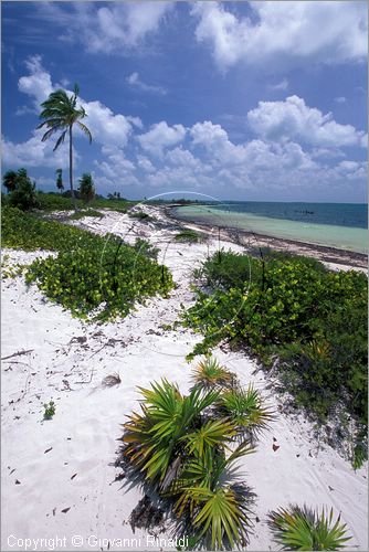 CUBA - Arcipelago delle Isole Canarreos - Cayo Avalos - una spiaggia sulla costa sud