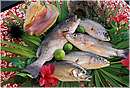 cuba_canarreos0025.jpg