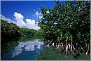 cuba_canarreos0042.jpg