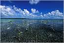 cuba_canarreos0044.jpg