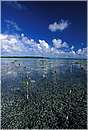 cuba_canarreos0045.jpg