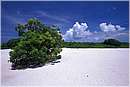 cuba_canarreos0048.jpg