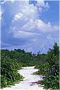 cuba_canarreos0050.jpg