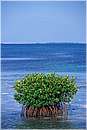 cuba_canarreos0060.jpg