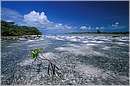 cuba_canarreos0072.jpg