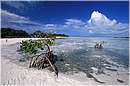 cuba_canarreos0073.jpg