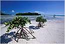 cuba_canarreos0075.jpg