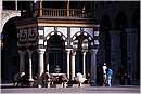 damasco0012.jpg