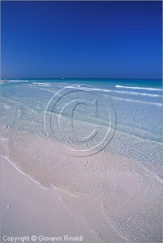 UNITED ARAB EMIRATES - DUBAI - la spiaggia di Jumeira