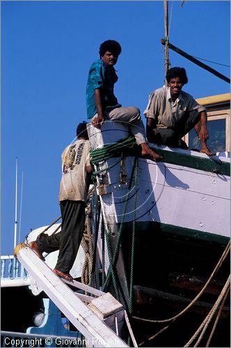 UNITED ARAB EMIRATES - DUBAI - lungo il Creek ormeggiano i dhow che sono le barche tradizionali e vengono utilizzate per il trasporto nel golfo di tutti i generi di merci