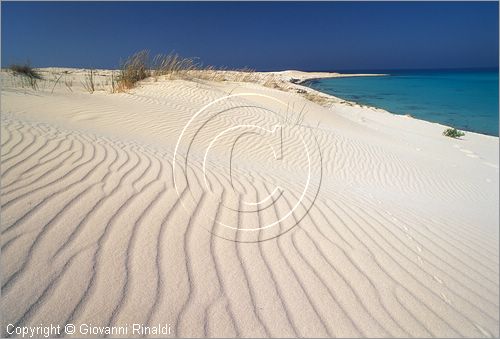 EGYPT - Sidi Abdel Rahman