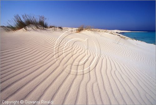 EGYPT - Sidi Abdel Rahman