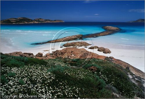 Australia Occidentale - Esperance - Cape Le Grand National Park - Lucky Bay