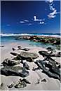 esperancemare0021.jpg