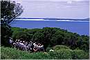 esperancevarie0037.jpg