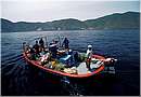 galite0044.jpg