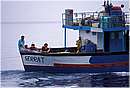 galite0048.jpg