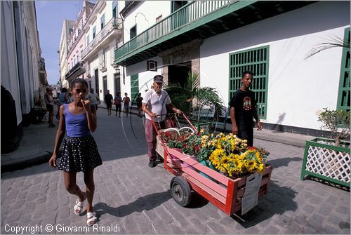 CUBA - HAVANA - venditore ambulante di fiori in Oficios