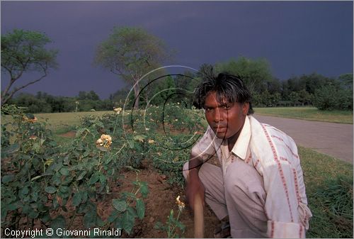 INDIA (PUNJAB) - CHANDIGARH - citt interamente progettata da Le Corbusier negli anni '50 - settore 16 - Giardino delle Rose