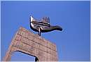 india_chandigarh0002.jpg