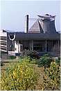 india_chandigarh0014.jpg