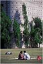 india_chandigarh0067.jpg